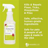 Knockout Flea Control Spray Images