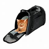Cat Carrier Airline Under Seat Pictures