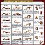 Images of Flexibility Training Exercises