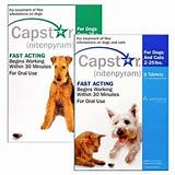 Photos of Flea Control Tablets For Dogs