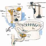 Toilet Repair And Troubleshooting Pictures