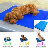Dog Cooling Pad Reviews Images