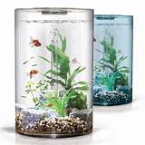 Cheap Glass Tanks Images