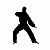 Chinese Kung Fu Karate Pictures