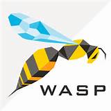 Wasp Emoji