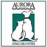 Pictures of Aurora Animal Control Adoption
