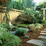 Images of Low Maintenance Zen Garden