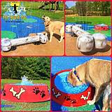 Dogs Playground Equipment Pictures