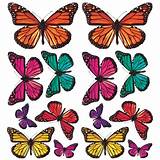 Sticker Butterfly Images