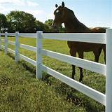 Images of White Pvc Horse Fence