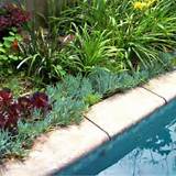 Landscaping Around A Pool With A Slope Pictures