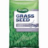 Images of Scotts Classic Grass Seed Heat & Drought Mix