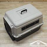 Images of Pet Carrier Agency