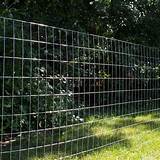 Images of Welded Wire Fencing 4 4 Mesh