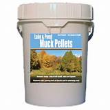 Pond Weed Control Pellets Pictures