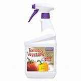 Pictures of Tomato Pest Spray