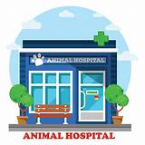 Animal Hospital Near You