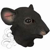 Pictures of Rat Head