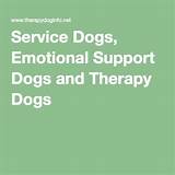 Pictures of Service Dog Vs Emotional Support Dog