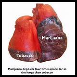 Is Marijuana More Harmful Than Cigarettes Images