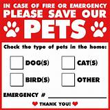 Emergency Pet Sticker Images