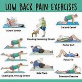 Lower Back Muscle Exercise Pictures