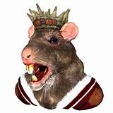 The Rat King Pictures