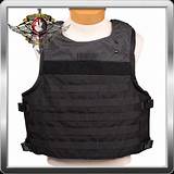Pictures of Shellback Tactical Aggressor Armor Plate Carrier