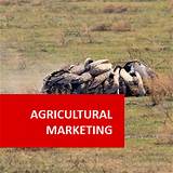 Pictures of Agricultural Business Management Courses
