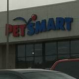 How Much Are Dog Obedience Classes At Petsmart Pictures