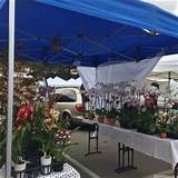 Photos of Marin Civic Center Farmers Market