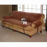 Furniture Protector Dogs Pictures