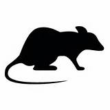 Rat Silhouette Images