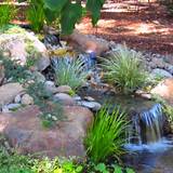 Photos of Water Landscaping Design