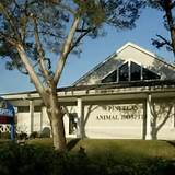 Park Animal Hospital Pinellas Park Images