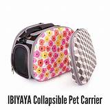 Photos of Collapsible Pet Carrier