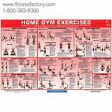 Pictures of Exercise Plan Chart