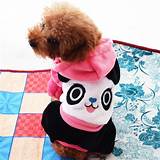 Dog Clothes Small Images