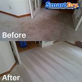 Photos of San Diego Commercial Carpet Cleaning