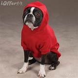 Pitbull Dog Clothes Photos
