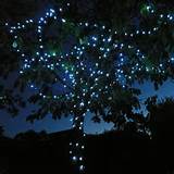 Images of Fairy Lights Solar