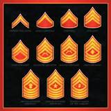 Order Of Us Military Ranks Pictures