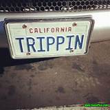 Find Ticket By License Plate California Images