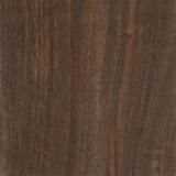 Identifying Walnut Wood Photos