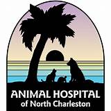 Animal Hospital Charleston Sc Images