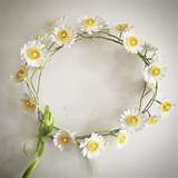 Pictures of Daisy Flower Crown
