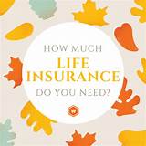 How Much Life Insurance Do You Need Images