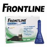 Frontline Flea Medication For Cats Images