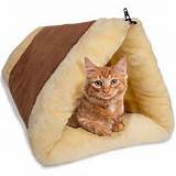 Best Cat Beds Pictures