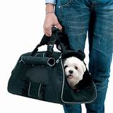 Photos of Pet Carrier For Dogs